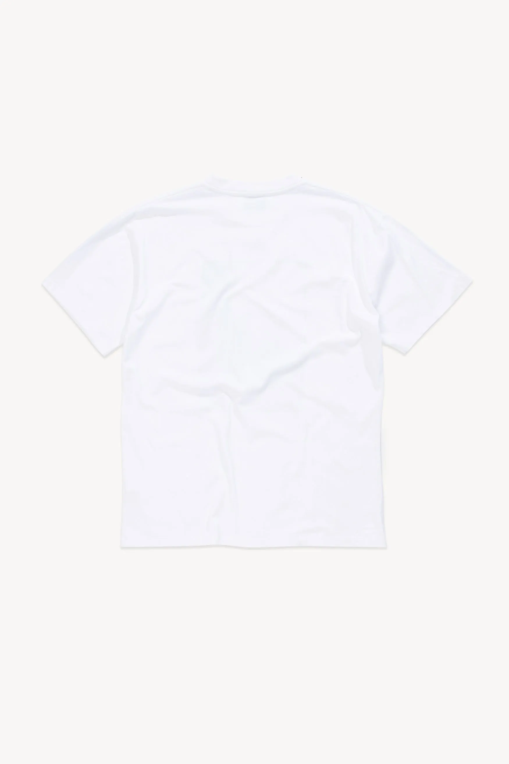 Stonehenge Polaroid Tee