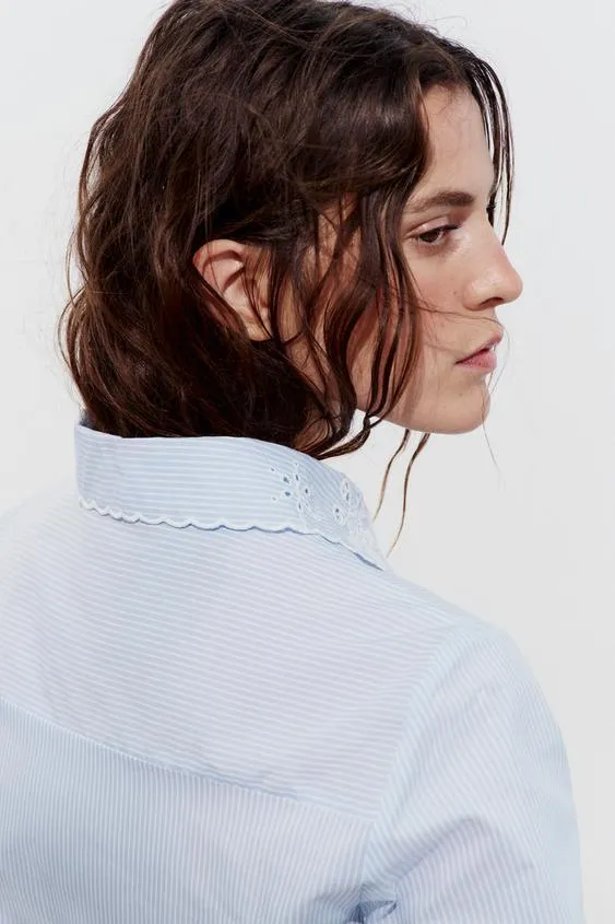 ZARA  |EMBROIDRED PIN TUCK BLOUSE